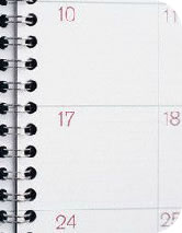 spider events calendar